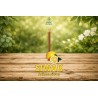 Siwak citron